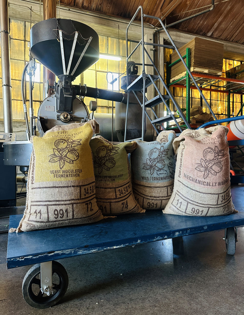 The Fermentation Project